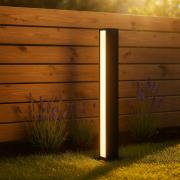 Lampa-LED-Ogrodowa-stojaca-Slupek-60-cm-2x12W-LED-1320lm-4000K-Czarna-IP44.jpg