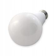 Zarowka-LED-E27-2835-24W-230V-A95-biala-2-lampyip44.jpg