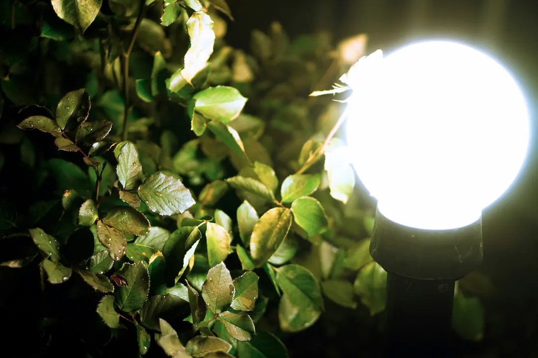 Jak działa lampa solarna z czujnikiem ruchu? Wszystko, co musisz wiedzieć przed zakupem - 1